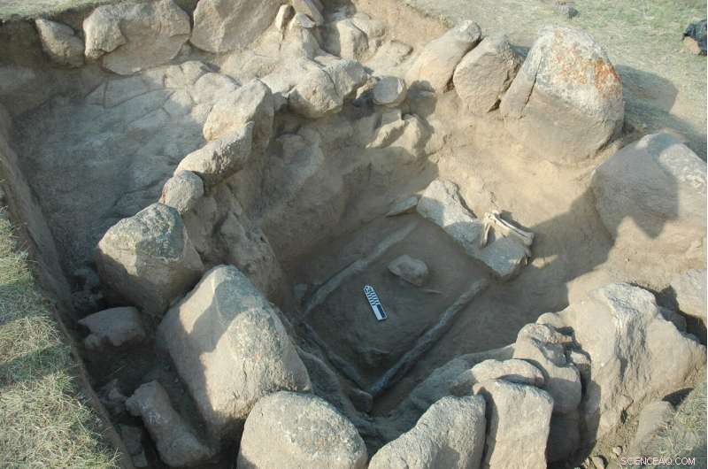 Groundbreaking Ancient DNA Study Sheds Light on Millennia of South and Central Asian Prehistory