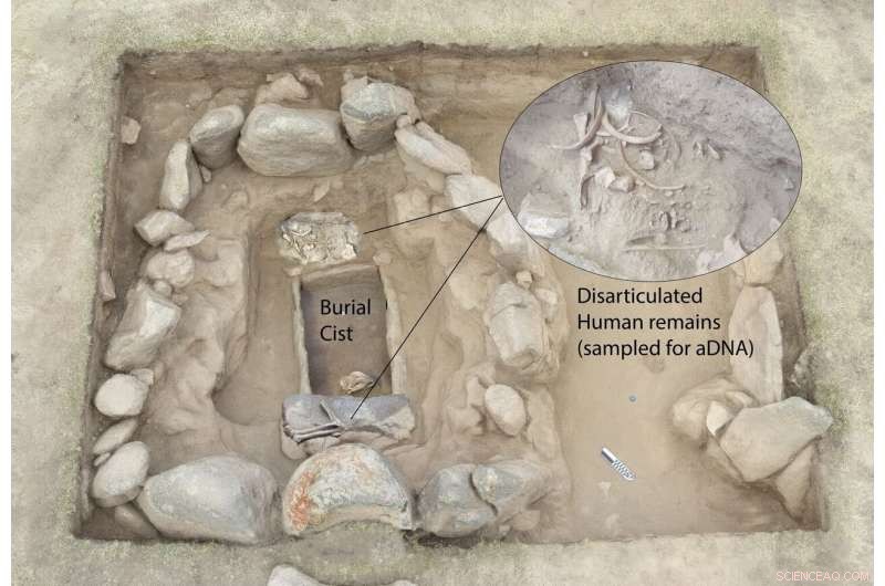 Groundbreaking Ancient DNA Study Sheds Light on Millennia of South and Central Asian Prehistory