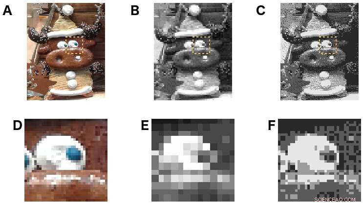 Speed vs. Structure: Languages Transmit Information at Comparable Rates