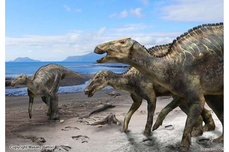 New Japanese Hadrosaur Species Reveals Hidden Dinosaur Diversity