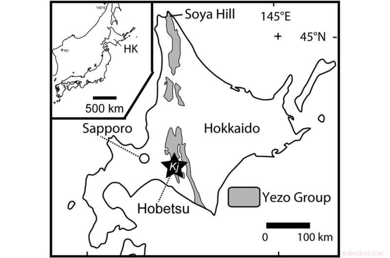 New Japanese Hadrosaur Species Reveals Hidden Dinosaur Diversity