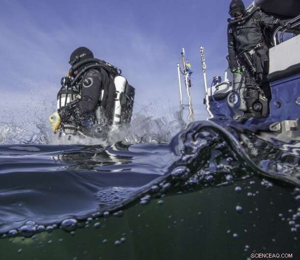 Excavation of Gribshunden Flagship Yields Stunning Discoveries