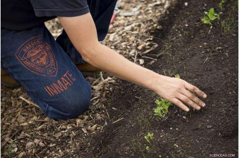 Plant-Based Programs Reduce Prison Recidivism