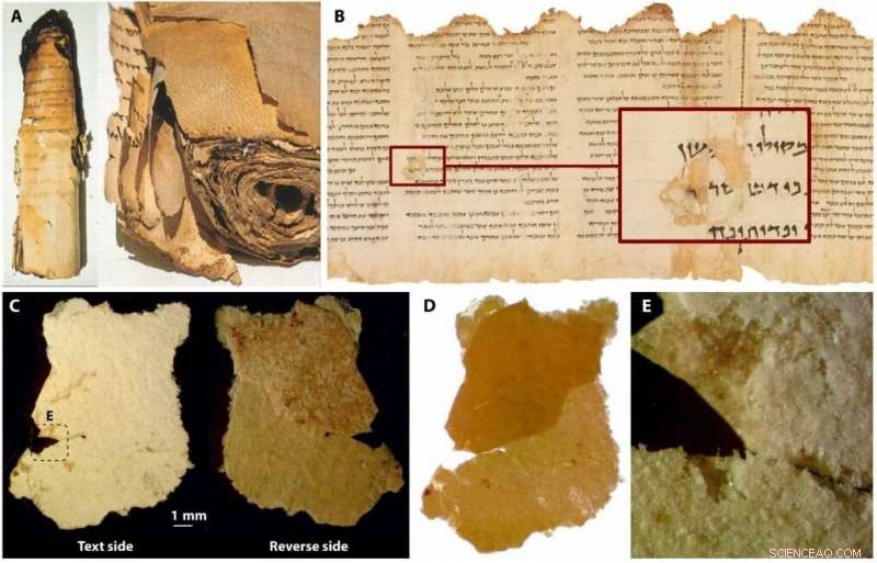 Dead Sea Scroll Study Reveals Lost Ancient Parchment-Making Technique