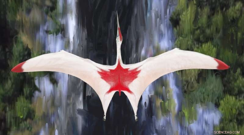 Newly Discovered Pterosaur Cryodrakon boreas: One of the Largest Flying Reptiles Ever