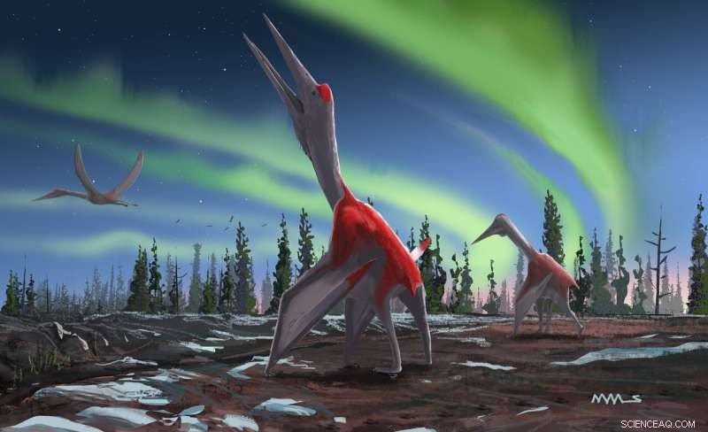 Newly Discovered Pterosaur Cryodrakon boreas: One of the Largest Flying Reptiles Ever