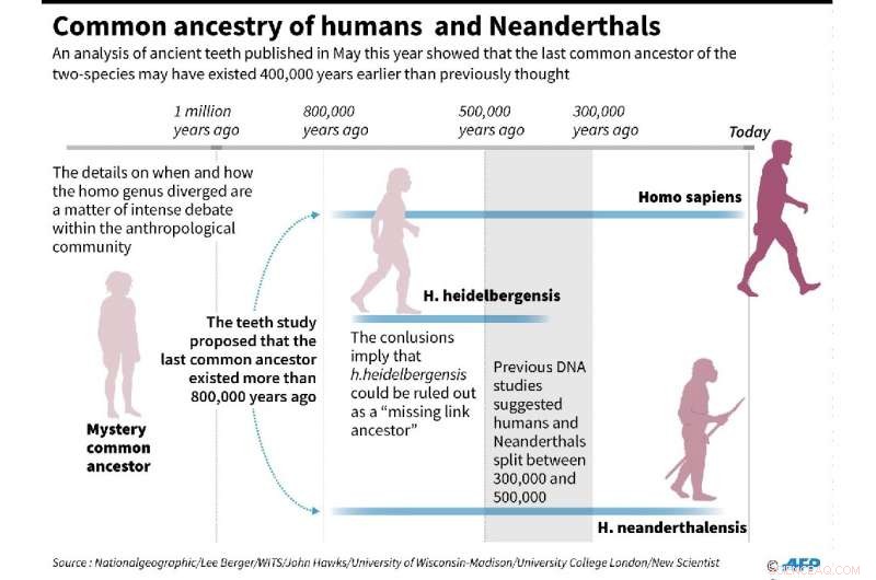 Unveiling Neanderthal Life: 257 Ancient Footprints from Normandy Shed Light on Their Social Structure