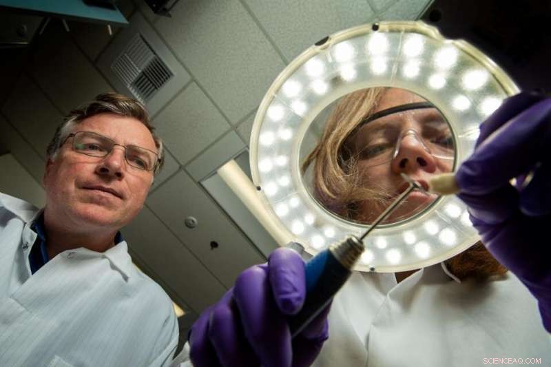 Forensic Proteomics: Revolutionizing Crime Lab Analysis and Anthropological Research