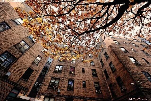 Proven Strategies to Reduce and Prevent Homelessness in North America: Insights from 40 Rigorous Evaluations