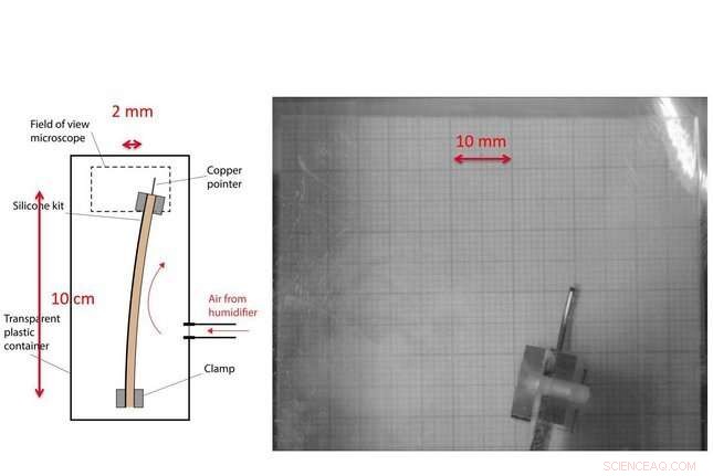Rethinking Museum Climate Controls: Are Strict Regulations Protecting or Damaging Artifacts?