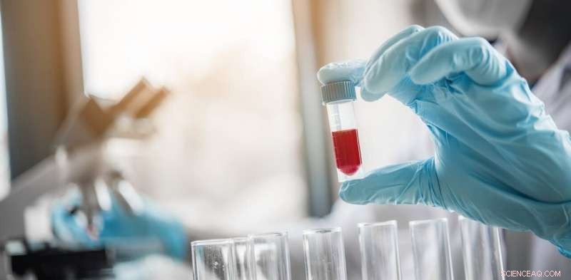 Scholars Warn: Indonesia s New Research Permit Process May Deter International Scientists