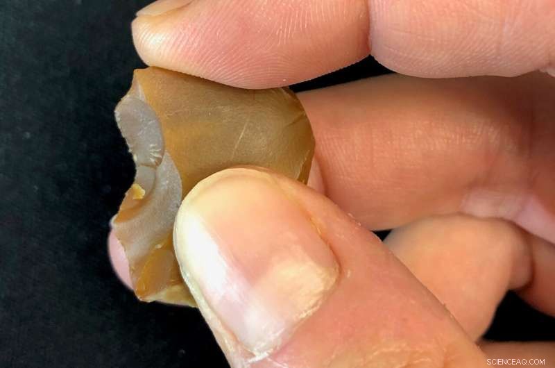 Early Humans Used Miniature Flint Surgical Tools to Butcher Elephants