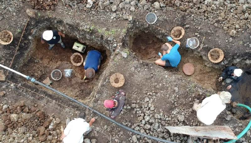 12,000-Year-Old Swamp Buried in Bones Sheds Light on the Dodo s Ecosystem
