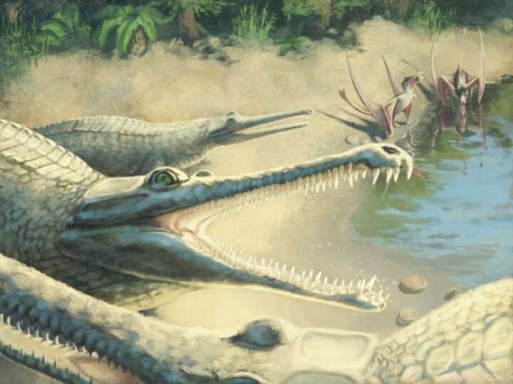 Newly Identified Jurassic Crocodile Species, Mystriosaurus laurillardi, Unveiled After 250 Years