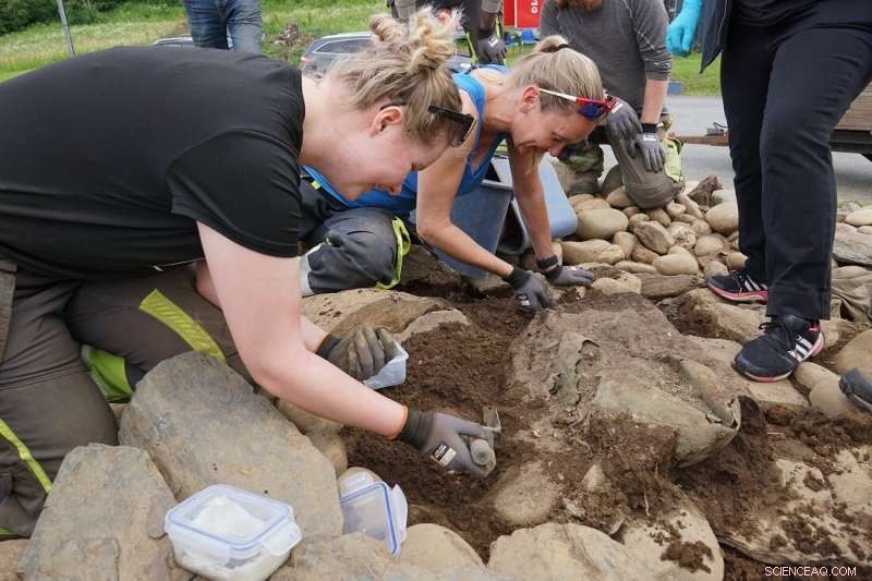 Bronze Cauldron Unearthed from 2nd‑Century Burial Cairn in Central Norway