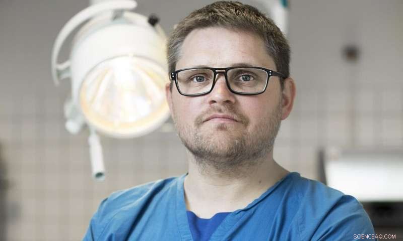 New Study Reveals Over Half of Female Homicides in Denmark Are Perpetrated by Partners