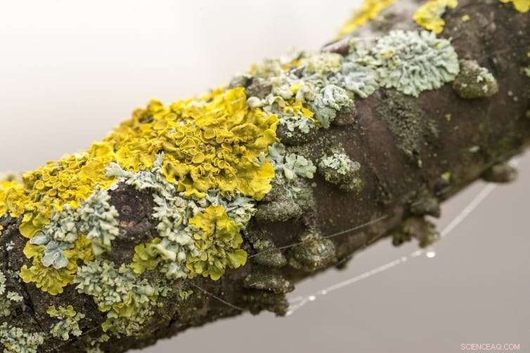 Empowering the Climate Strike Generation: A Comprehensive Curriculum for Climate Change Education