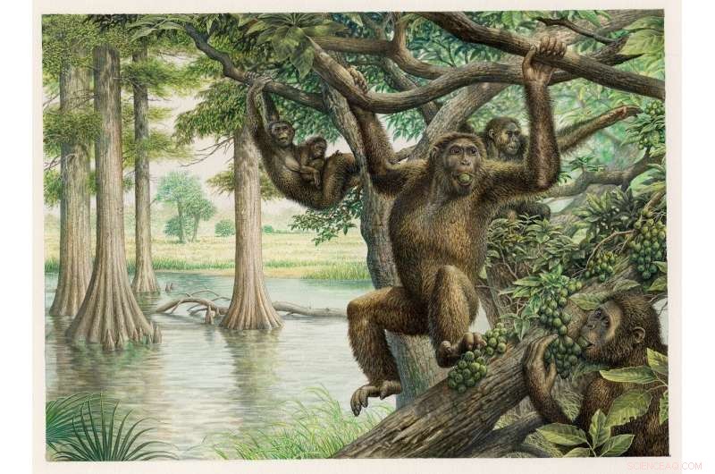 Groundbreaking 10-Million-Year-Old Fossil Sheds Fresh Insight into Human Evolution