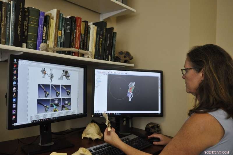 Groundbreaking 10-Million-Year-Old Fossil Sheds Fresh Insight into Human Evolution