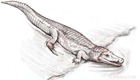 New Mexico Yields First Crocodile Fossil from Jurassic Era