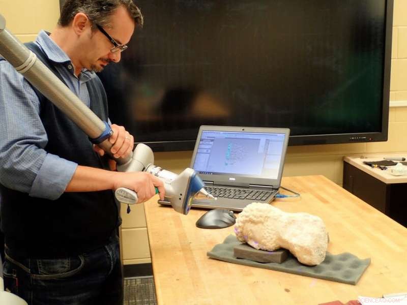 Digital Archaeologist Makes Rare Collections Accessible Through 3‑D Scanning