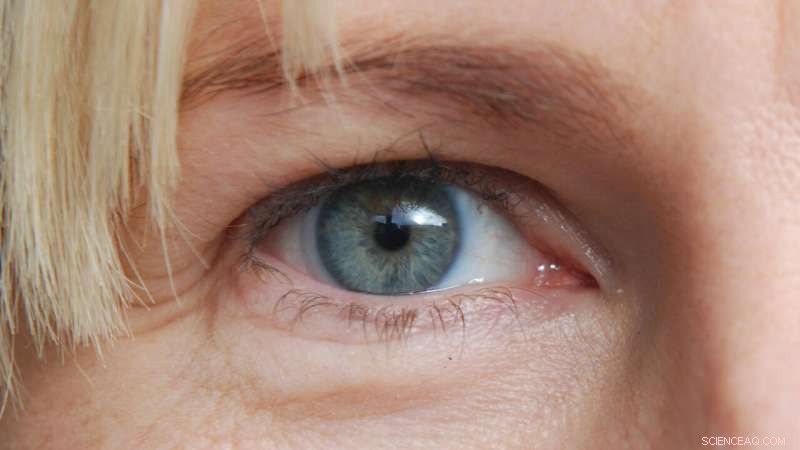 Study Reveals Ineffectiveness of Leading Airport Security Lie-Detection Tool