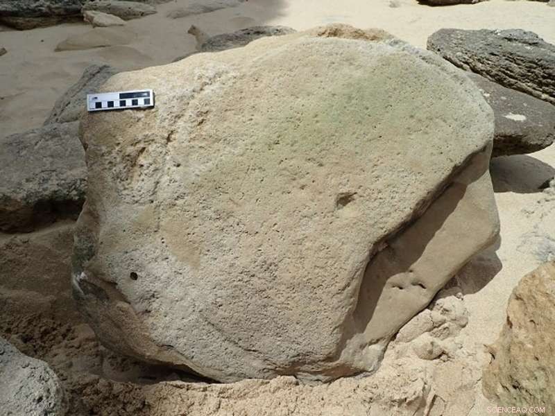 Evidence Suggests Ancient Humans Created Patterns on South African Beaches