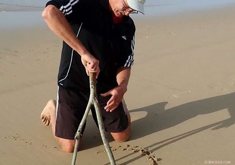 Evidence Suggests Ancient Humans Created Patterns on South African Beaches