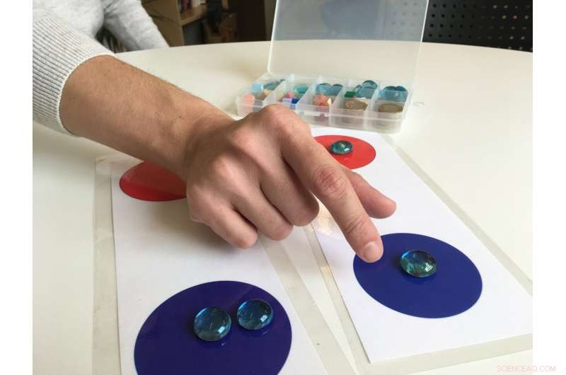 Social Norms Shape Sharing Decisions: Global Study Reveals Key Insights