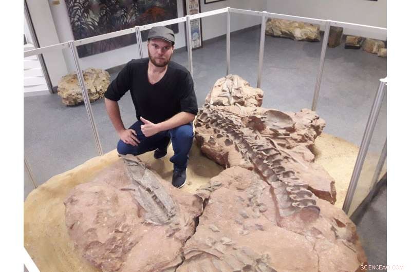 Crocodile‑Like Predators Shaped Early Dinosaur Ecosystems in Triassic Southern Africa, 210 Myr Ago