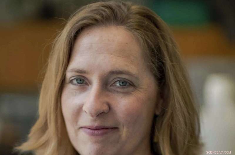 MacArthur Foundation Announces $625K Genius Grants to Exceptional Innovators