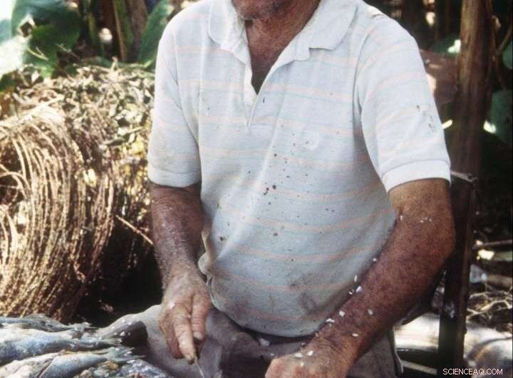 Traditional Fisherfolk Uncover Ancient Sea Catfish Preservation Techniques