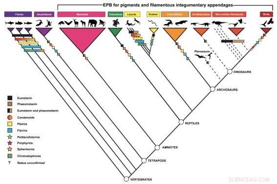 Paleontologists Introduce Robust Framework for Fossil Color Reconstruction