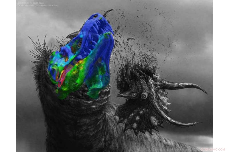 Tyrannosaurus rex s stiff skull enabled bone‑crushing bites