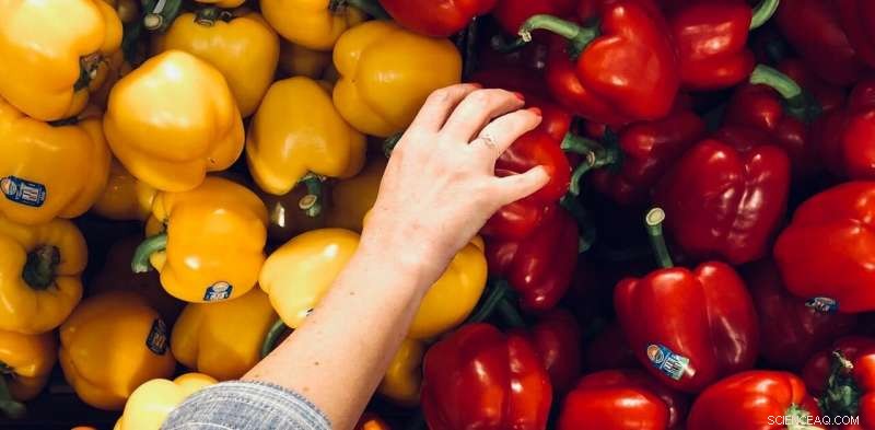 Food Affordability: A Must‑Address Issue for Canada s Federal Election