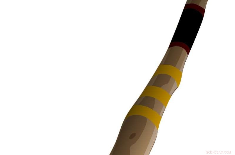 Music’s Role in Safeguarding Ethnobiological Knowledge