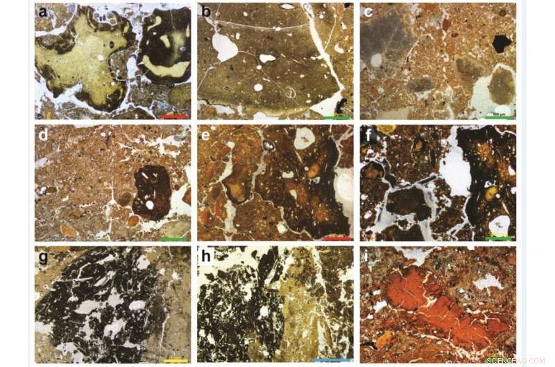Unveiling the Secrets of an Early Human Cave: Fossil Evidence from Southern Siberia