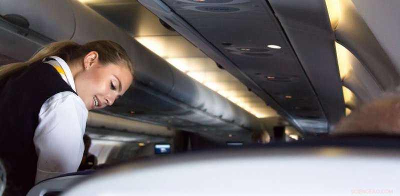 The Myth of Beauty in the Workplace: Why Looks Don t Always Translate to Success