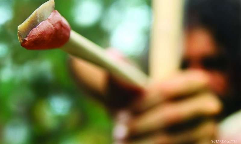 Modern Humans Outpaced Neanderthals: Unveiling the Competitive Edge