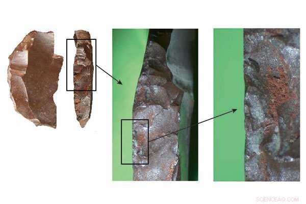 Modern Humans Outpaced Neanderthals: Unveiling the Competitive Edge