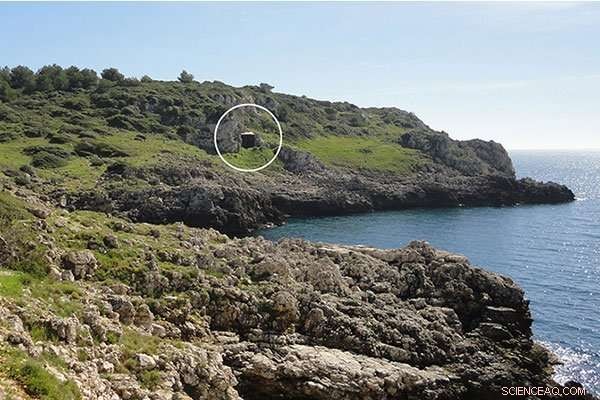 Modern Humans Outpaced Neanderthals: Unveiling the Competitive Edge