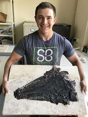 High Schooler Discovers Rare Fossil in Groundbreaking Field Museum Expedition
