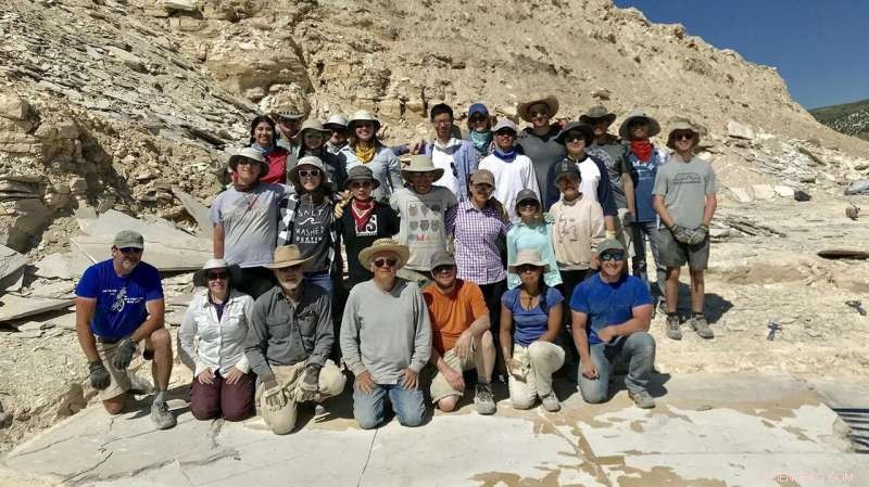 High Schooler Discovers Rare Fossil in Groundbreaking Field Museum Expedition