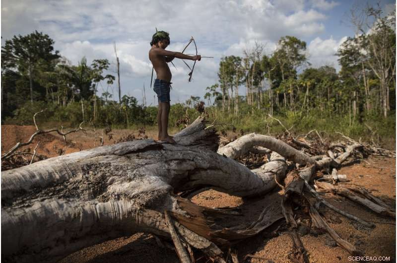 Amazon Tembe Tribe: How Arrows and Smartphones Shape Daily Life