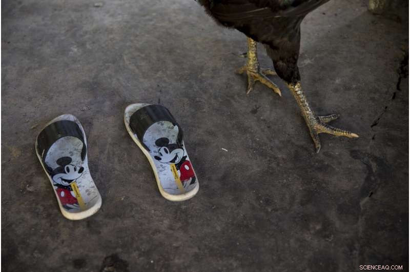 Amazon Tembe Tribe: How Arrows and Smartphones Shape Daily Life