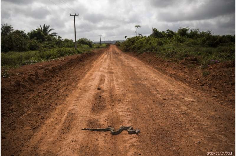 Amazon Tembe Tribe: How Arrows and Smartphones Shape Daily Life