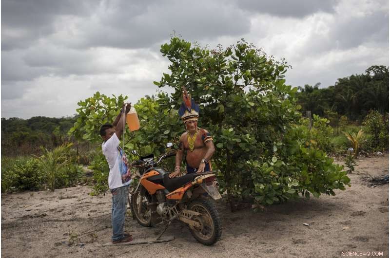 Amazon Tembe Tribe: How Arrows and Smartphones Shape Daily Life