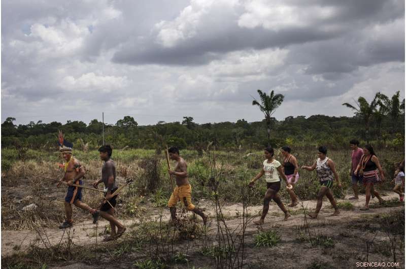 Amazon Tembe Tribe: How Arrows and Smartphones Shape Daily Life