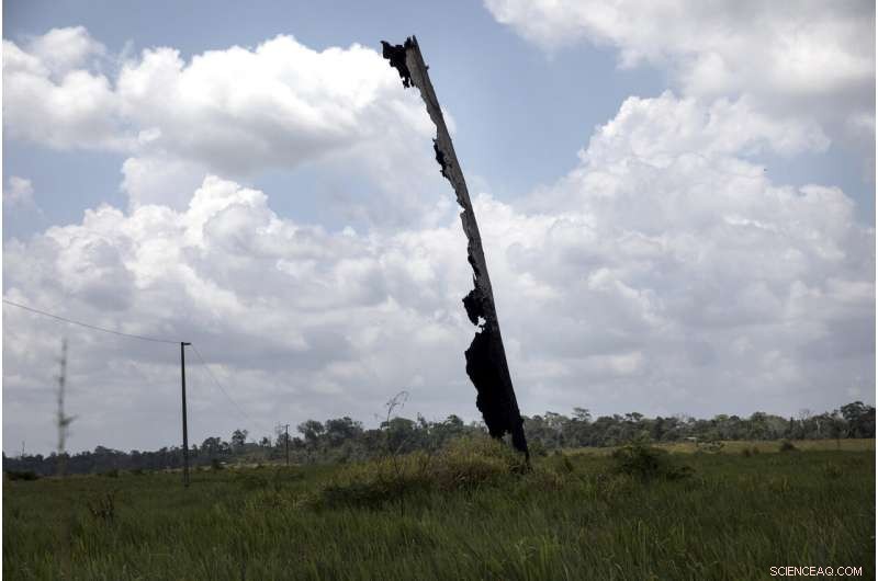 Amazon Tembe Tribe: How Arrows and Smartphones Shape Daily Life