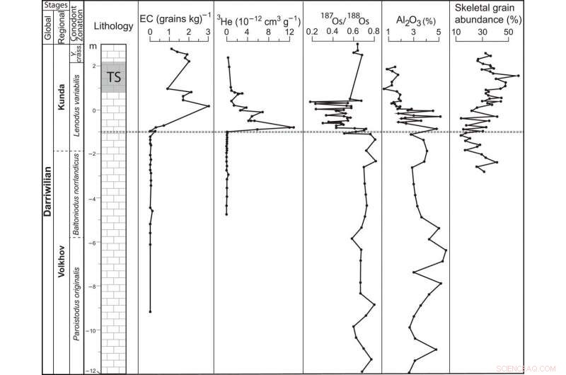 Impact of the L‑Chondrite Breakup on Ordovician Biodiversity Expansion